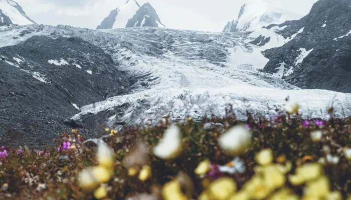Фотограф показал чарующие кадры пути к Софийскому леднику в Горном Алтае. Фото
