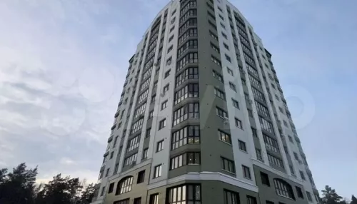 Дизайнерская трешка с видом на фонтан и хвойный лес продается за 12,6 млн в Барнауле