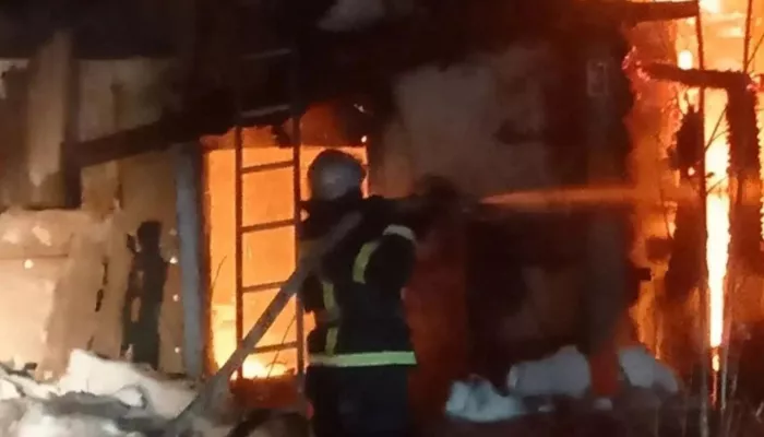 17 пожаров произошли в Алтайском крае за сутки: погибли два человека