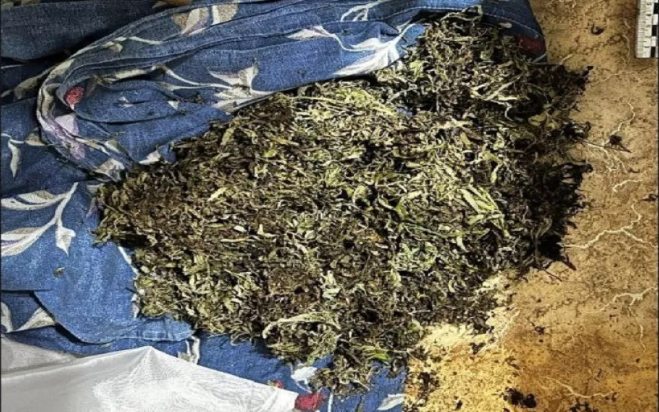 Жительница Новоалтайска нарвала коноплю, позвала полицию домой и пошла под суд