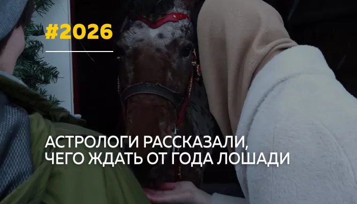 2026 год пройдет под знаком Лошади: астрологи советуют готовиться к переменам