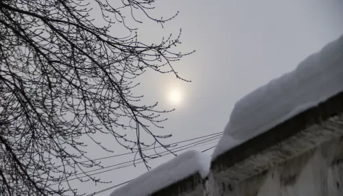 Режим черного неба ввели в Барнауле и Бийске с 25 февраля