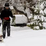 Снежные шапки и заметенные дворы: последствия снегопада в Барнауле. Фото