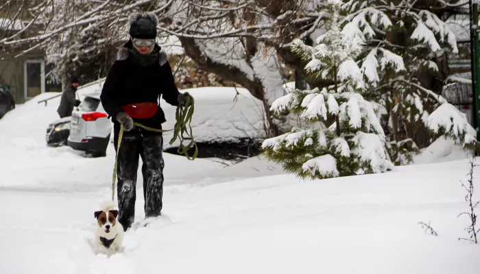 Снежные шапки и заметенные дворы: последствия снегопада в Барнауле. Фото