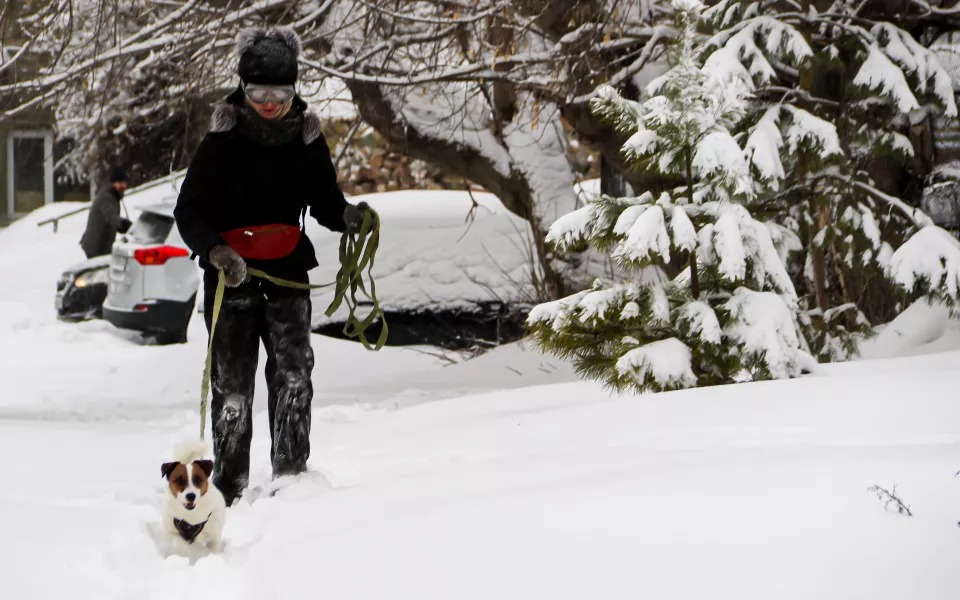 Снежные шапки и заметенные дворы: последствия снегопада в Барнауле. Фото