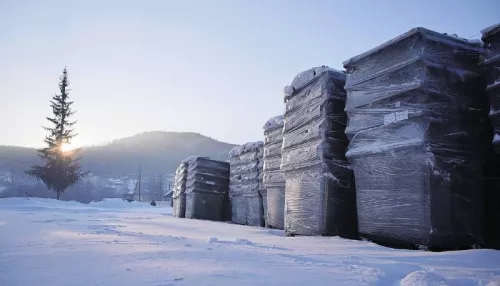 В Горно-Алтайске начнут устанавливать видеокамеры у мусорных контейнеров