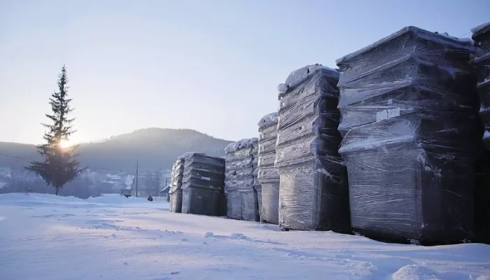 В Горно-Алтайске начнут устанавливать видеокамеры у мусорных контейнеров