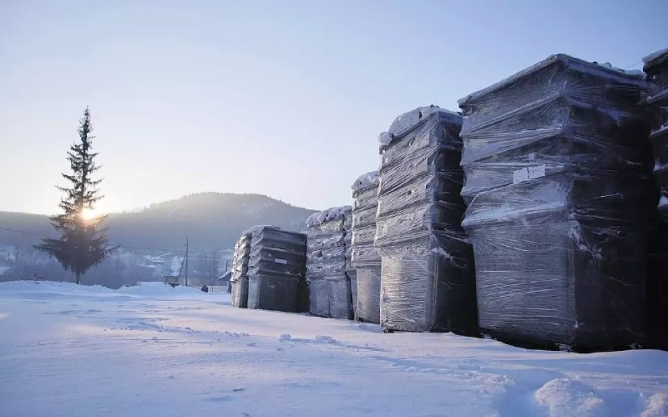 В Горно-Алтайске начнут устанавливать видеокамеры у мусорных контейнеров