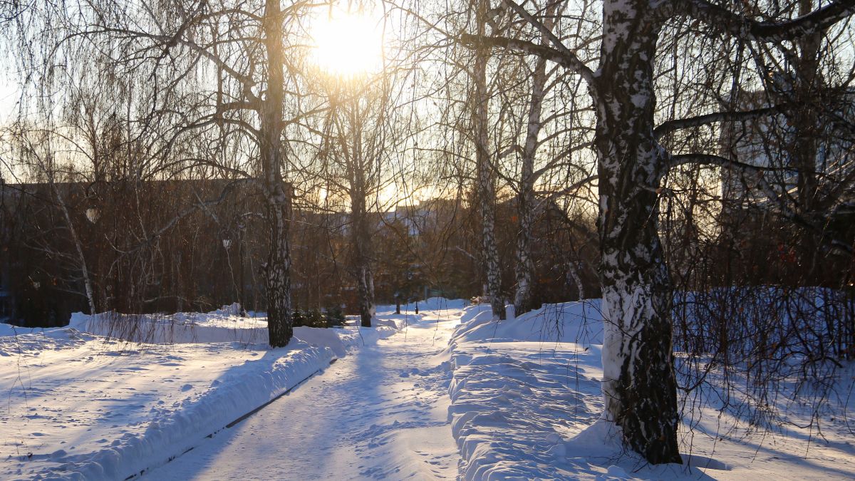 Мороз. Погода. Зима.