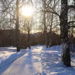 Почти весна: еще два дня тепла ожидаются в Алтайском крае