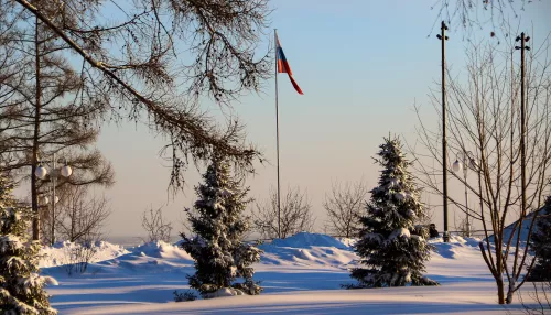 К концу января в Алтайский край пришло потепление, но ночи еще морозные