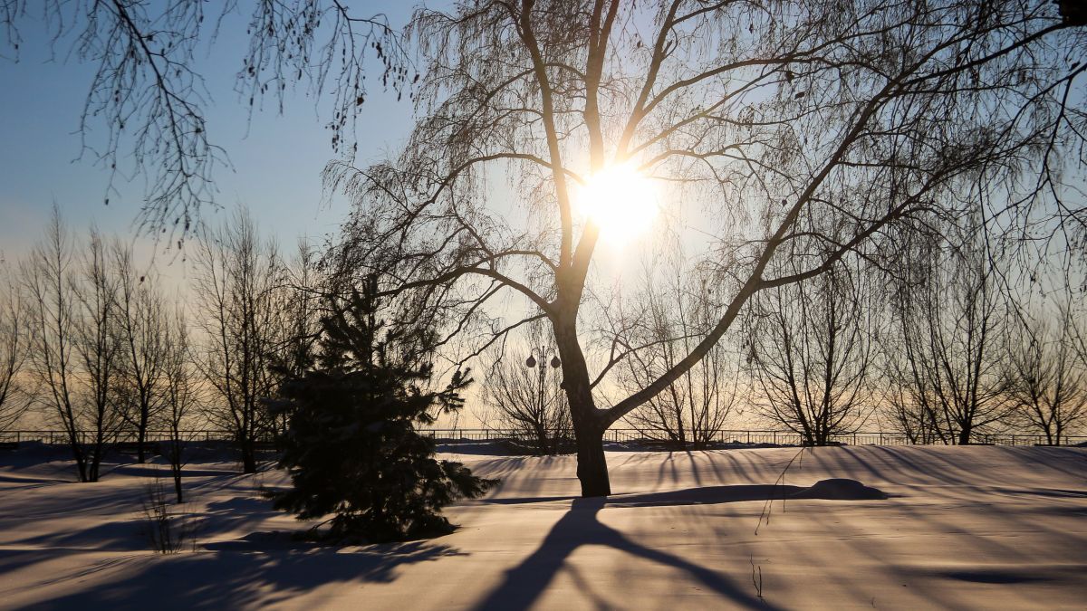 Мороз. Погода. Зима.