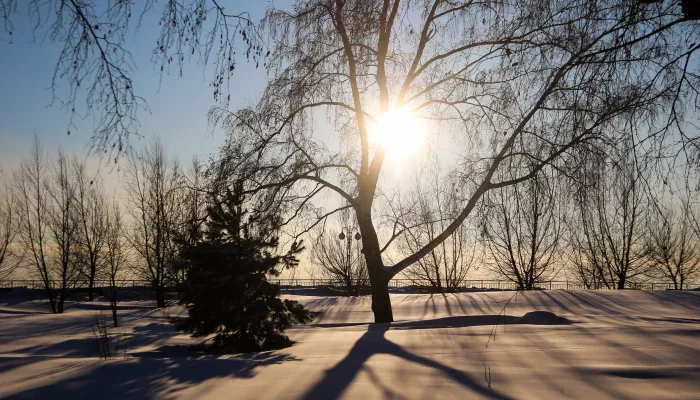 Сибирские морозы до -44 градусов придут в Алтайский край к выходным