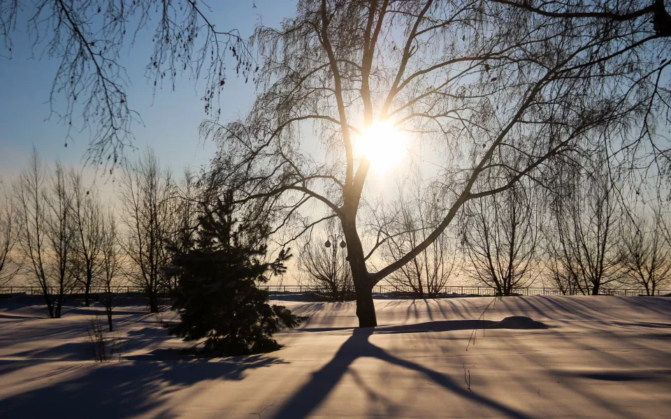 Сибирские морозы до -44 градусов придут в Алтайский край к выходным