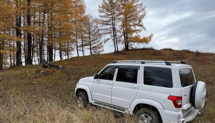 Не видавший бездорожья богатырский УАЗ Патриот продают в Горно-Алтайске. Фото