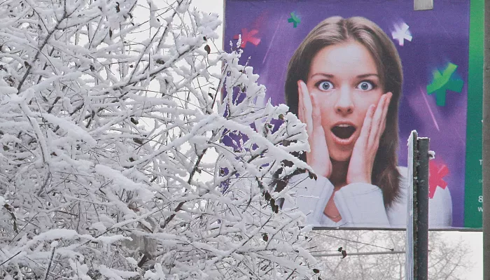 Январские холода заморозят Алтайский край до -44 градусов