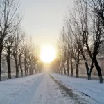 Пик февральских морозов ожидается в Алтайском крае на этой неделе