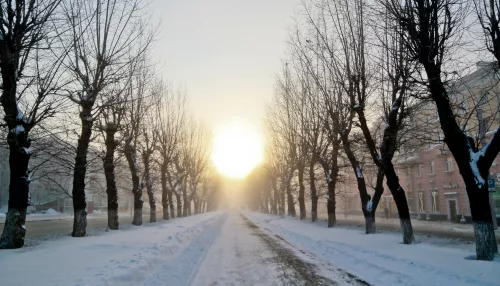 40-градусные морозы установились в Алтайском крае за три дня до весны