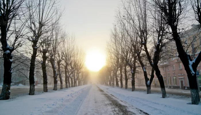 Пик февральских морозов ожидается в Алтайском крае на этой неделе