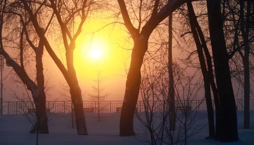 Весна в Алтайском крае стартует с морозов: прогноз погоды на 1 марта