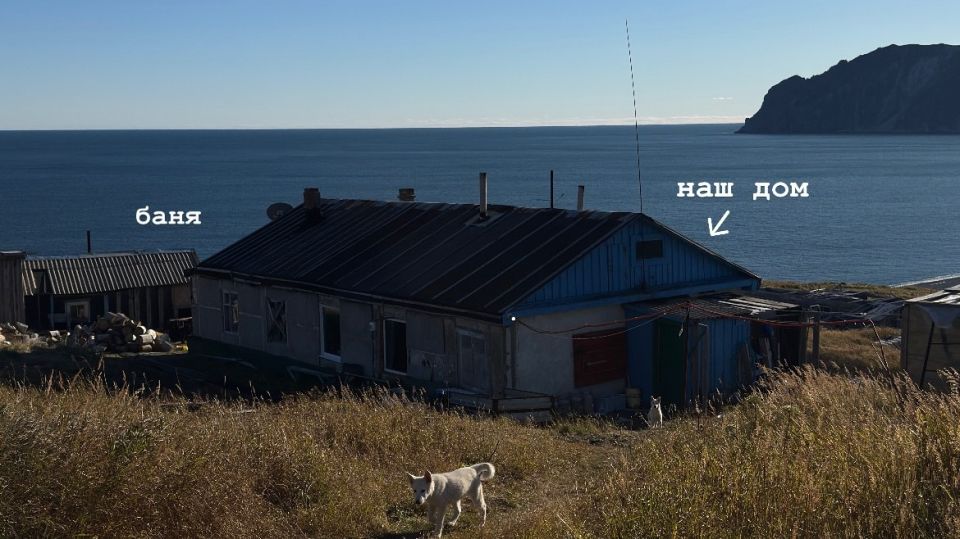 Место, где живут Андрей и Алиса