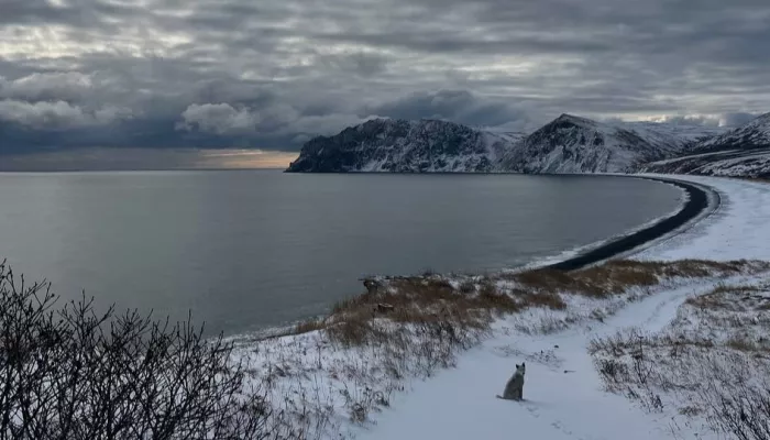 На краю земли: как пара из Барнаула выбрала жизнь на необитаемом острове. Фото