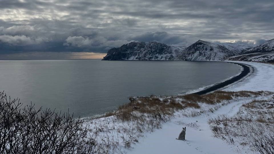 Остров Спафарьева