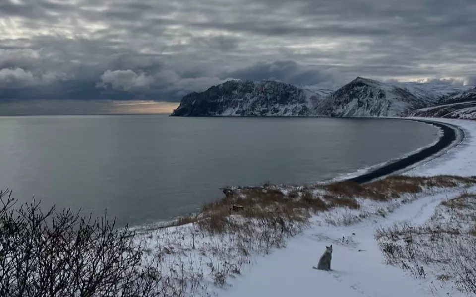 На краю земли: как пара из Барнаула выбрала жизнь на необитаемом острове. Фото
