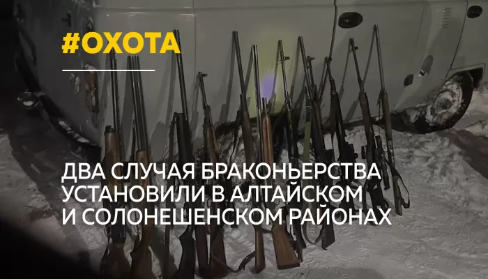 В Алтайском и Солонешенском районах выявили два случая браконьерства на косулю