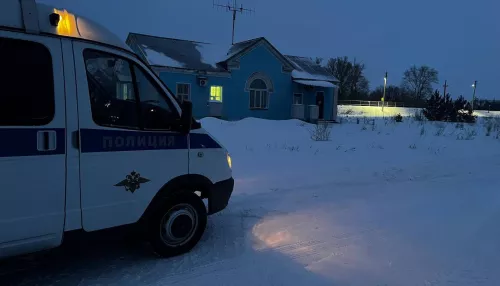 Пенсионерка не захотела ждать и полезла под идущий поезд на алтайской станции