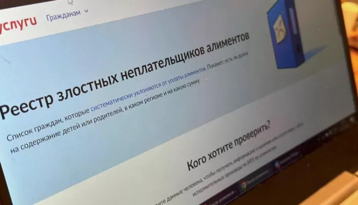Более 6 тысяч жителей Алтайского края попали в реестр злостных алиментщиков