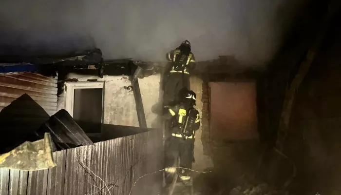 Жительница алтайского села погибла при печном пожаре 