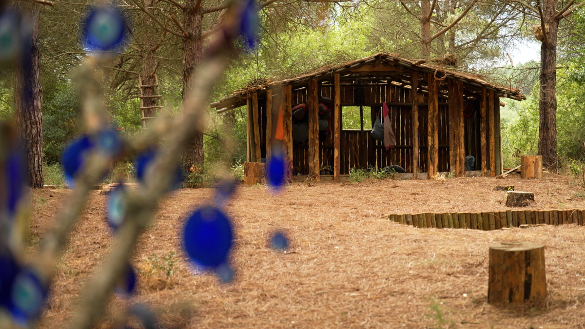 Шоу "Выжить в Стамбуле"