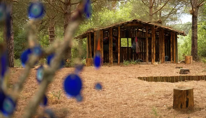 Кто покинул шоу Выжить в Стамбуле, где участвует экс-следователь из Барнаула