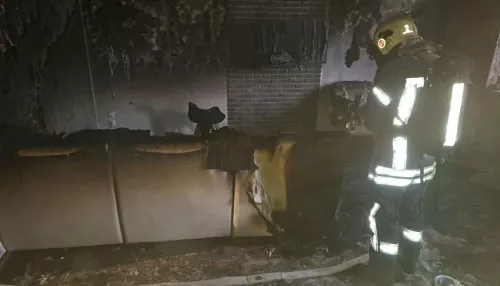 Женщину с младенцем спасли при пожаре в барнаульской многоэтажке