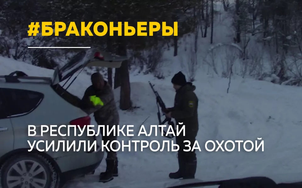 26 нарушений за праздники: в Республике Алтай усилили контроль за охотой