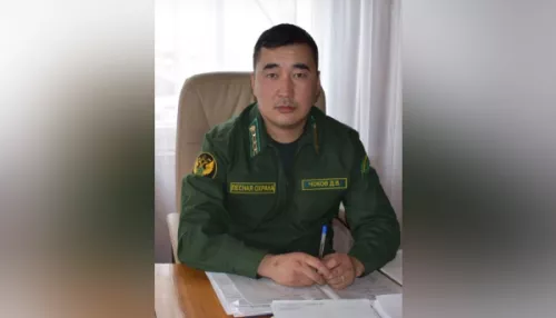 В Республике Алтай назначили руководителя головного лесничества