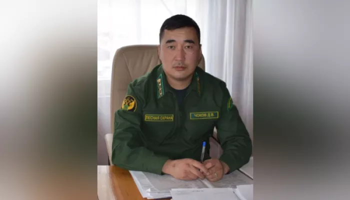 В Республике Алтай назначили руководителя головного лесничества