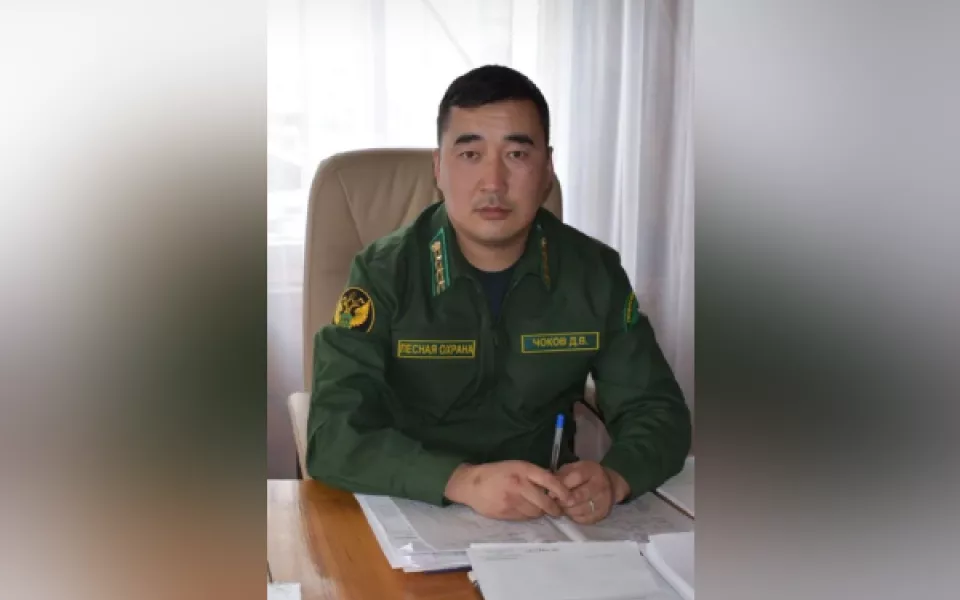 В Республике Алтай назначили руководителя головного лесничества