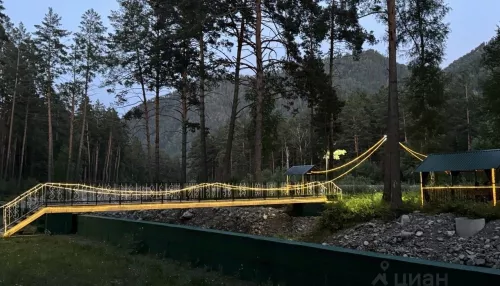 В Республике Алтай за 150 млн рублей продают экопарк с форелевым озером. Фото