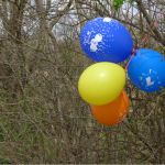 Экологи призвали выпускников школ не выпускать в небо воздушные шары