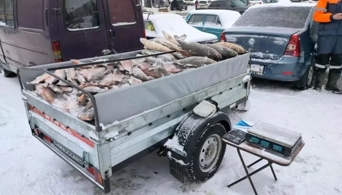 В Алтайском крае ужесточат штрафы для стихийной торговли с машин