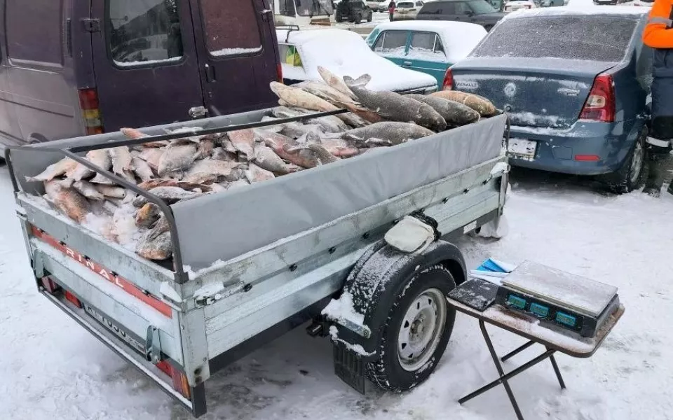 В Алтайском крае ужесточат штрафы для стихийной торговли с машин