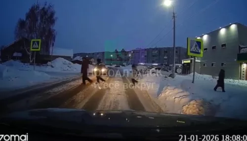 10-летнего мальчика сбили на пешеходном переходе в Новоалтайске: видео