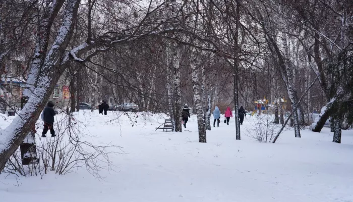 В Бийске обновят несколько парков и скверов в 2026 году