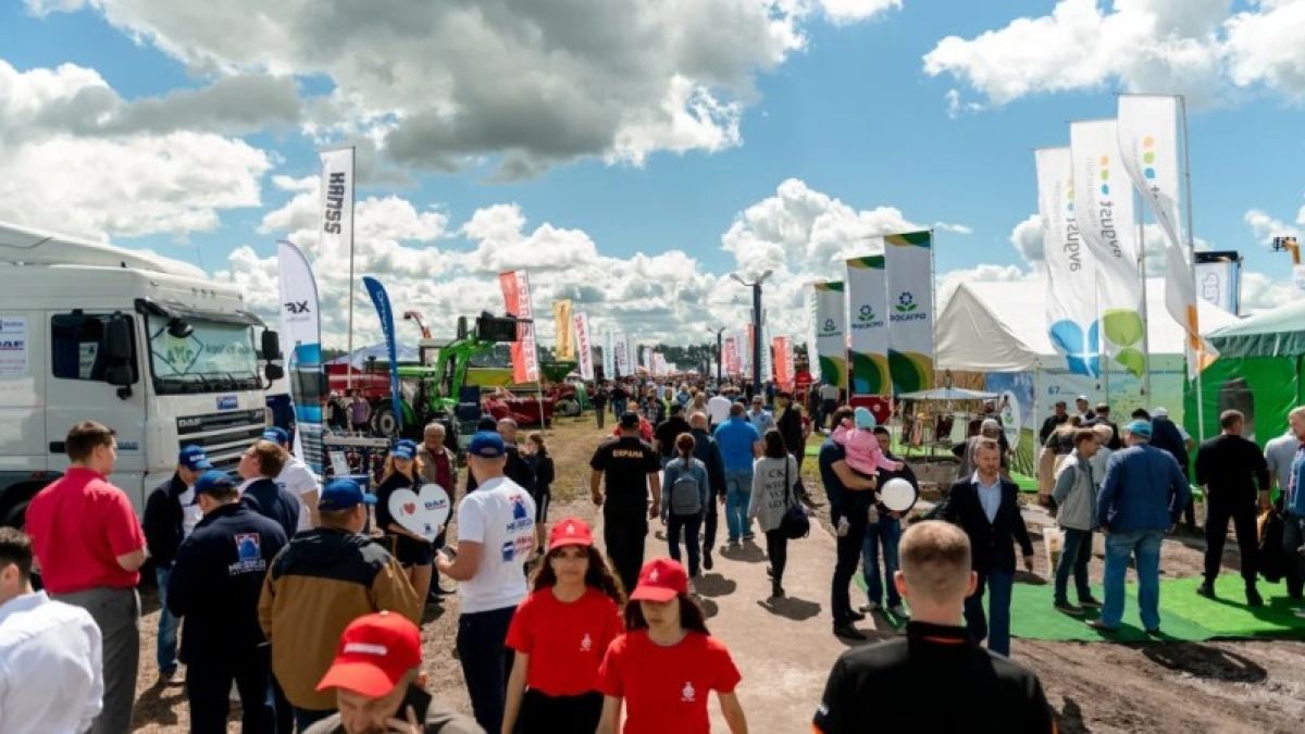 Проблемы, решения и перспективы. Как прошел форум "День поля" в Алтайском крае