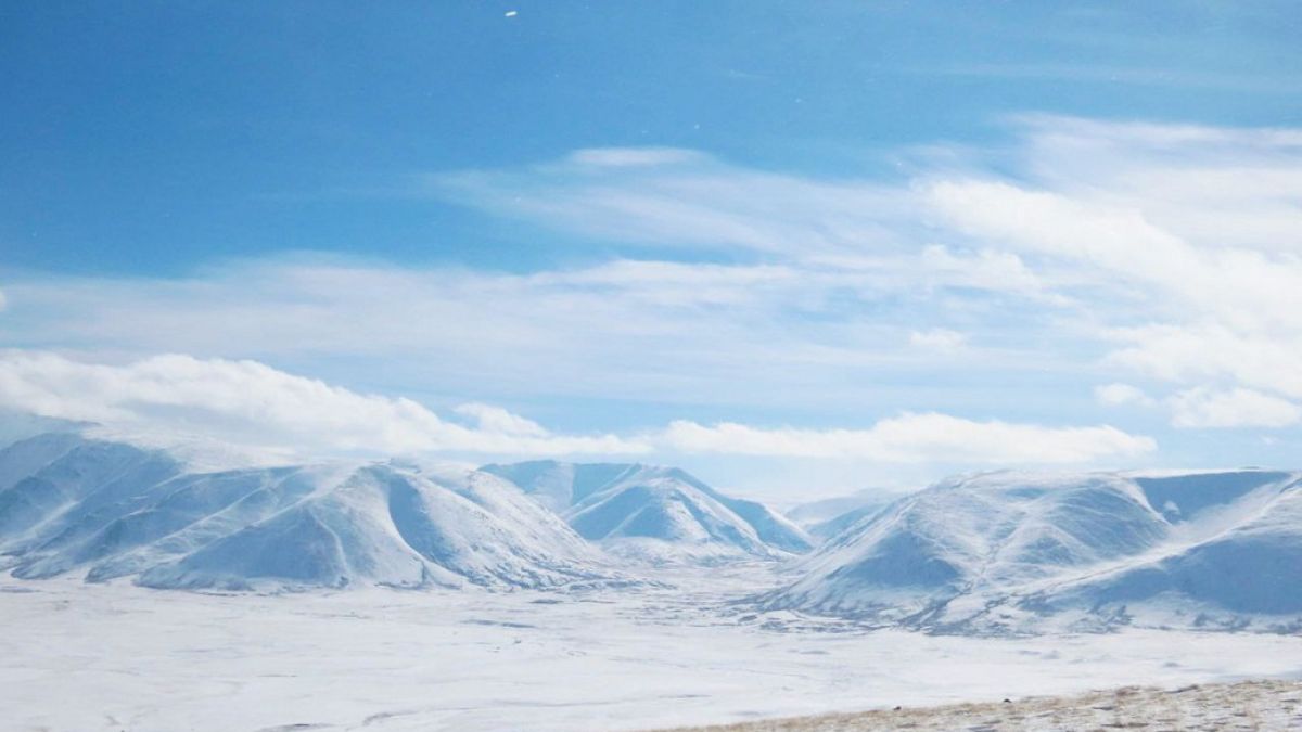 Трансграничная зона России и Монголии