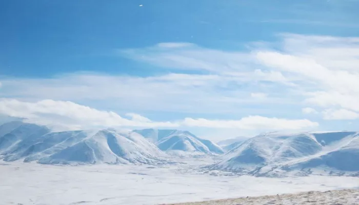 Монголия временно закроет пункт пропуска рядом с Республикой Алтай