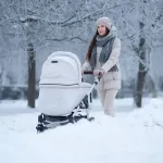 Единовременное пособие при рождении ребенка в Алтайском крае вырастет с 1 февраля