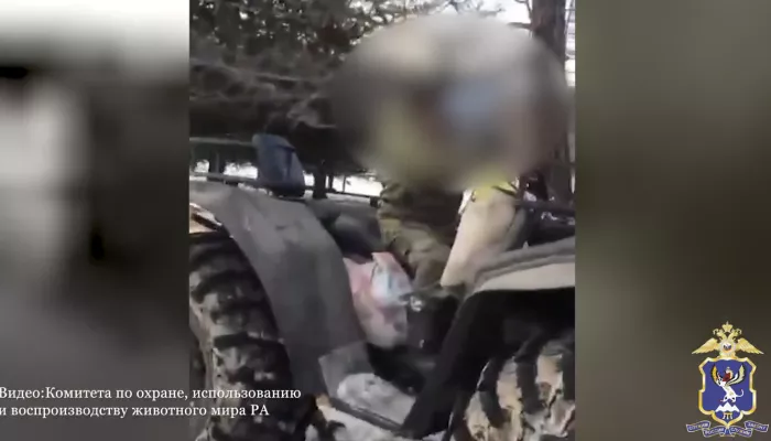 Застрелившим трех косуль браконьером в Горном Алтае мог быть полицейский